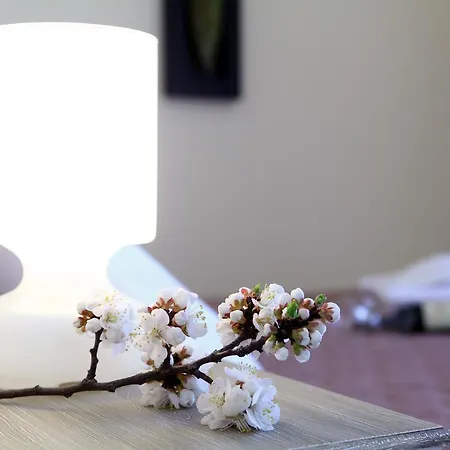 Aparthotel Niriides Lefkada City